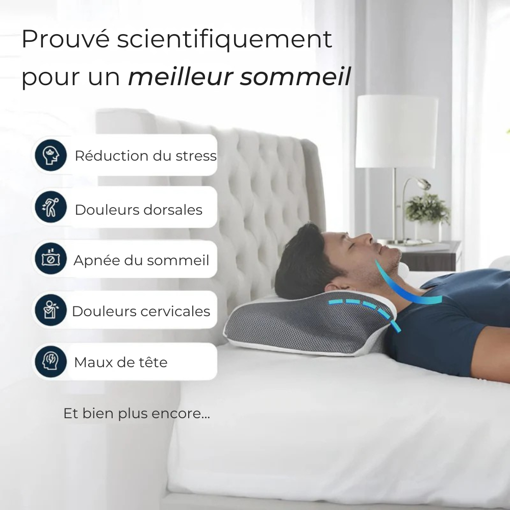 ErgoLine™ | Dormez sans douleur, réveillez-vous léger